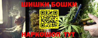 мдпв Обь