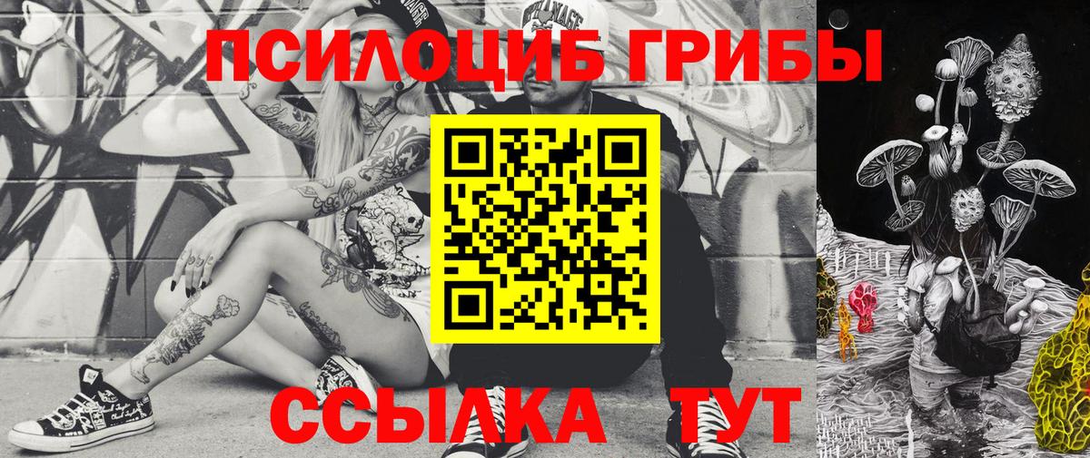 Сердобск  Галлюциногенные грибы MAGIC MUSHROOMS  Псилоцибиновые грибы прущие грибы  Вход с VPN 