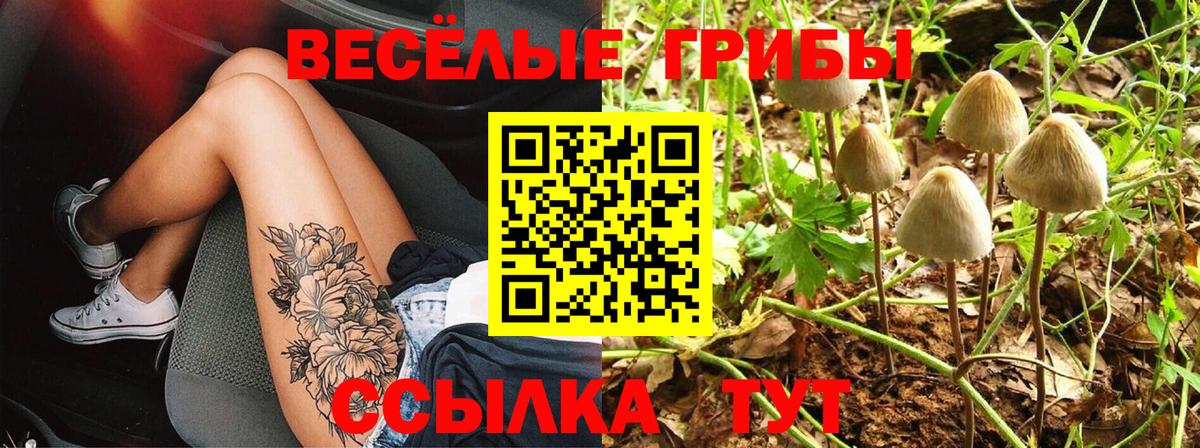 Псилоцибиновые грибы прущие грибы Сердобск